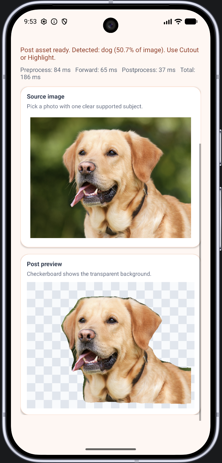 Image Alt Text:Labrador background removed in the Android emulator.
