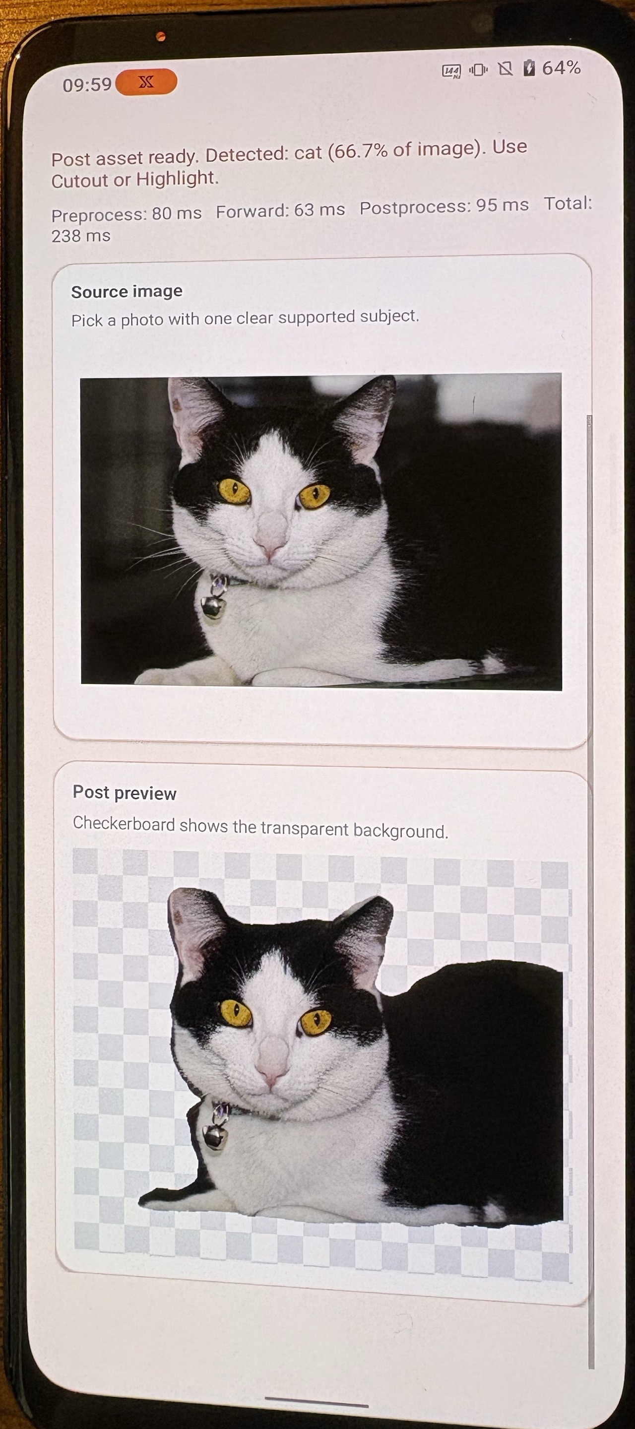Image Alt Text:Cat cutout displayed on a physical Android phone.