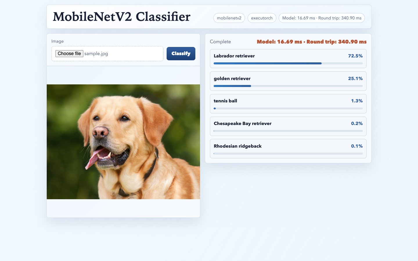 Image Alt Text:MobileNetV2 classifier demo showing sample.jpg, the Labrador image, and its top-5 predictions. Image: Labrador Retriever, by Chiemsee2016 — CC0 1.0