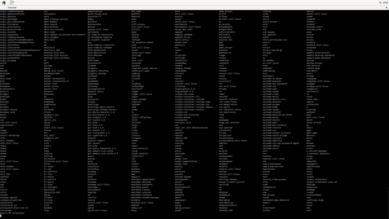 Image Alt Text:Terminal window open on the Yocto desktop