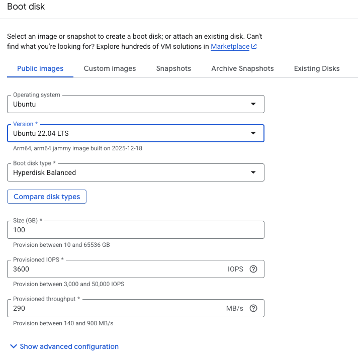 Image Alt Text:Selecting Ubuntu LTS 22.04 with 100GB disk space highlighted