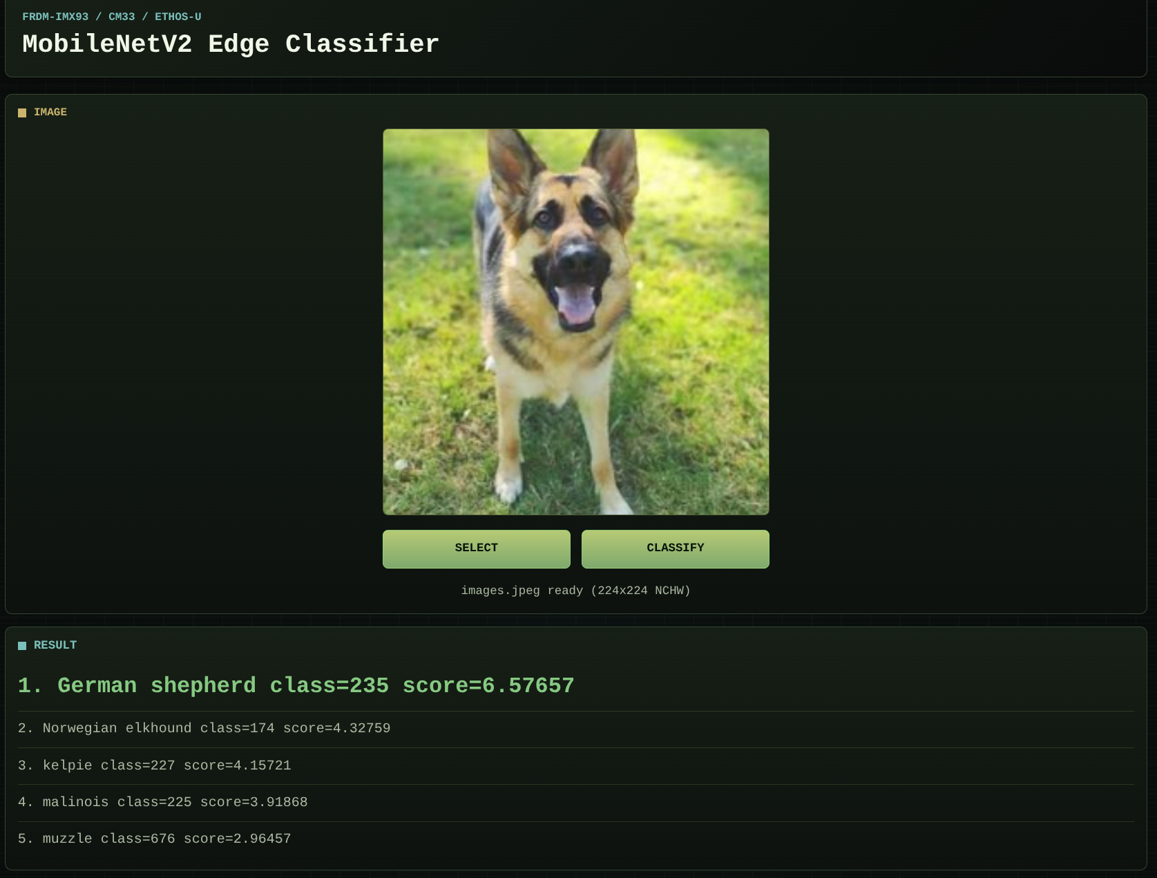 Image Alt Text:Screenshot of the web interface running on an Arm-based target, showing an image and the model response. This confirms successful deployment and provides a visual reference for the expected result.