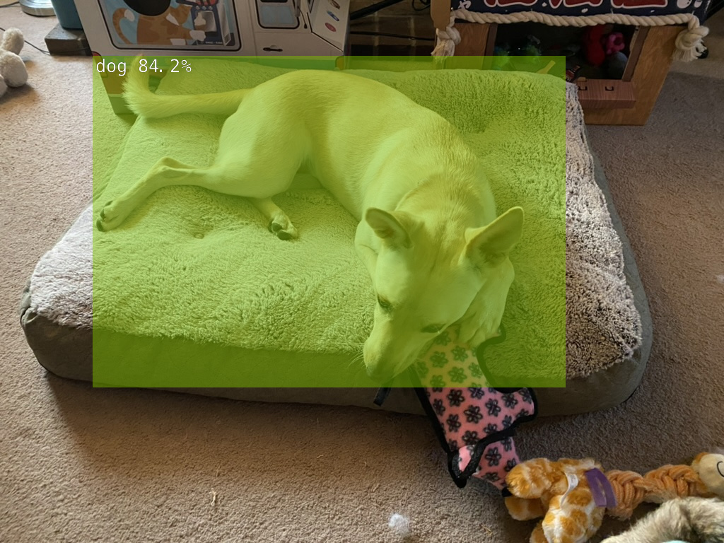 Image Alt Text:a dog on a bed