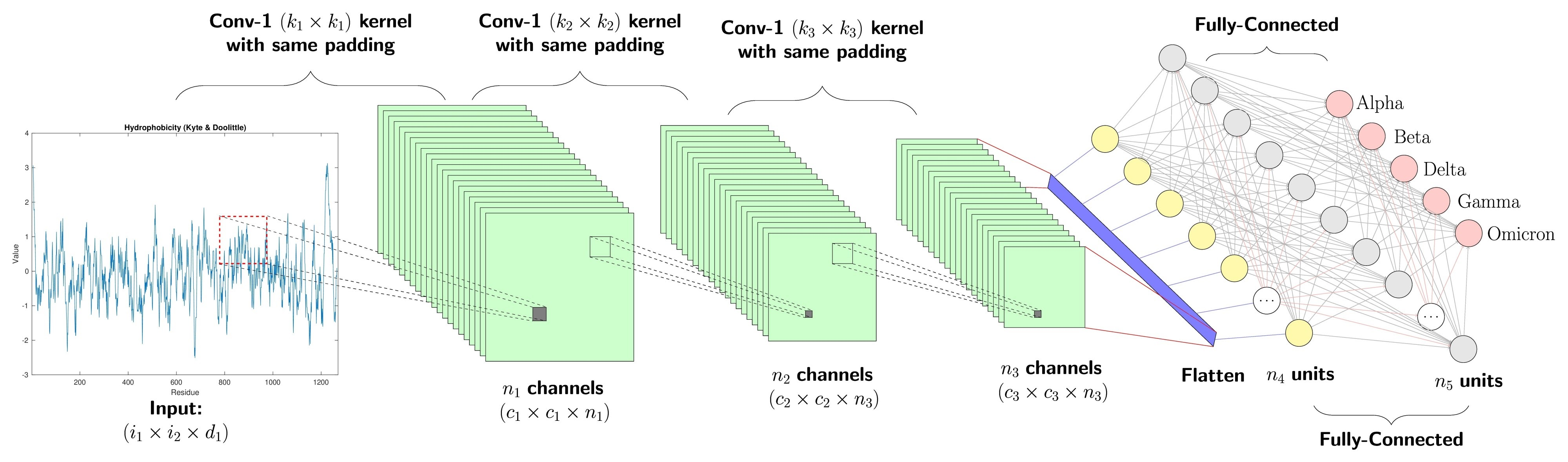 Image Alt Text:Image of a convolutional neural network architecture