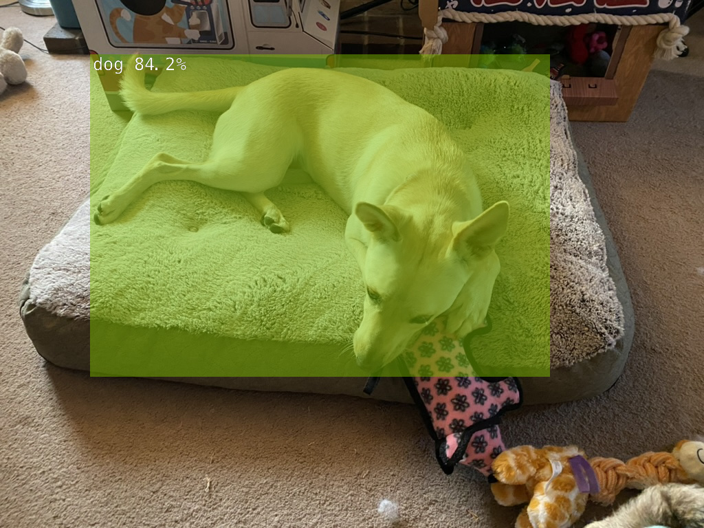 Image Alt Text: a dog on a bed