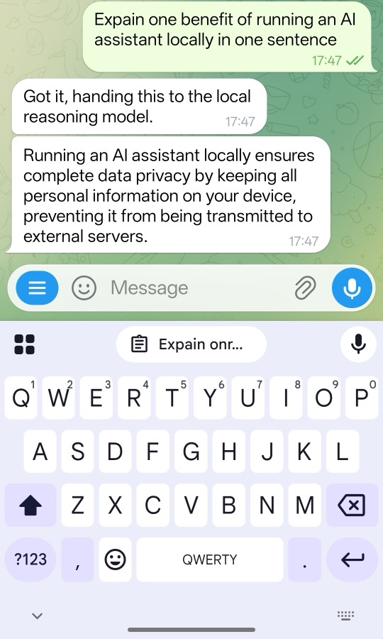 Image Alt Text:Telegram conversation showing the tutorial prompt and a response from the local reasoning model