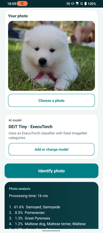 Image Alt Text:Photo Insight ExecuTorch Quick Identify result for a white Samoyed puppy using DEiT Tiny. The result panel shows a 16 millisecond processing time and ranks Samoyed first at 61.6 percent, followed by Pomeranian and Great Pyrenees.