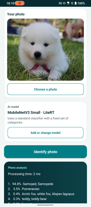 Image Alt Text:Photo Insight LiteRT Quick Identify result for a white Samoyed puppy using MobileNetV3 Small. The result panel shows a 2 millisecond processing time and ranks Samoyed first at 94.8 percent.