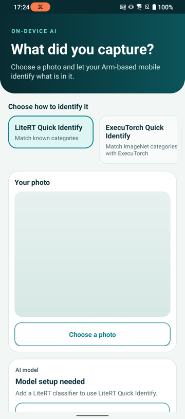 Image Alt Text:Photo Insight first-launch screen with LiteRT Quick Identify selected and ExecuTorch Quick Identify beside it in the horizontal workflow selector. The empty photo area and Model setup needed message show that no model or image has been imported yet.