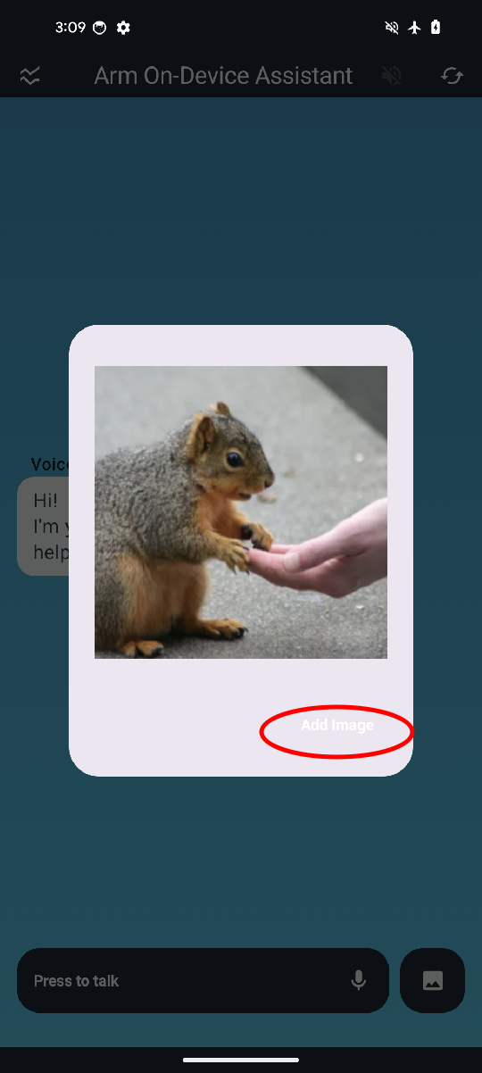 Image Alt Text:add image alt-text