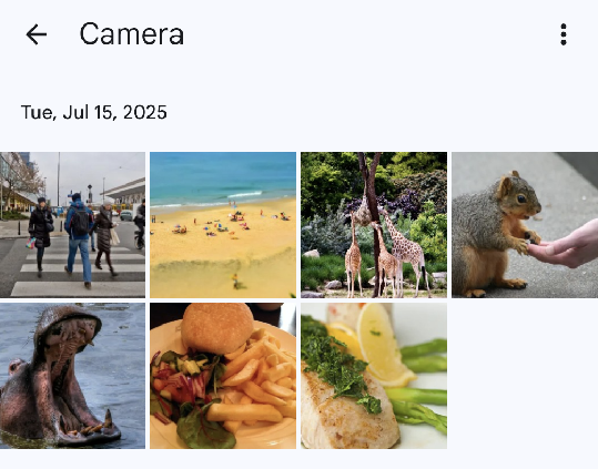 Image Alt Text:choose image alt-text