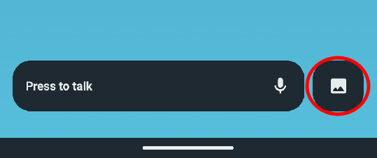 Image Alt Text:use image alt-text