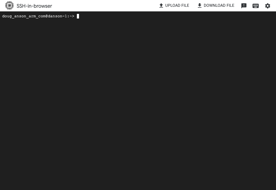 Image Alt Text:Screenshot of a terminal shell interface showing a command prompt in a Google Cloud VM instance with standard Linux shell environment alt-text