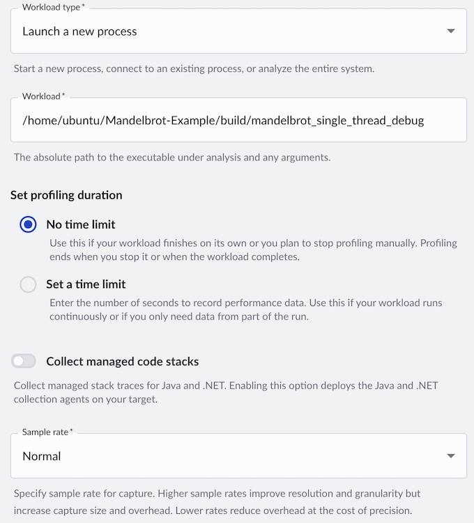 Image Alt Text:The Arm Performix Code Hotspots recipe configuration screen showing launch settings, binary path, and sampling rate fields