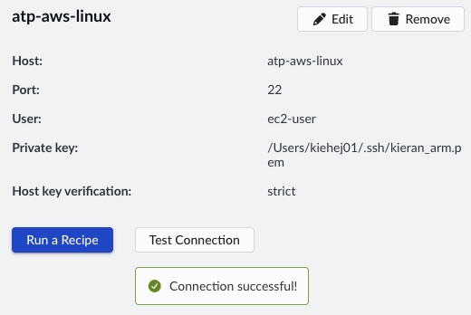 Image Alt Text:The Arm Performix Targets panel showing a successful connection test result for a remote Arm server