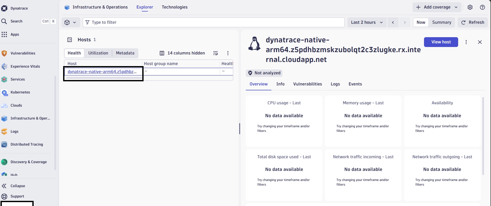 Image Alt Text:Dynatrace hosts dashboard showing detected ARM64 virtual machine
