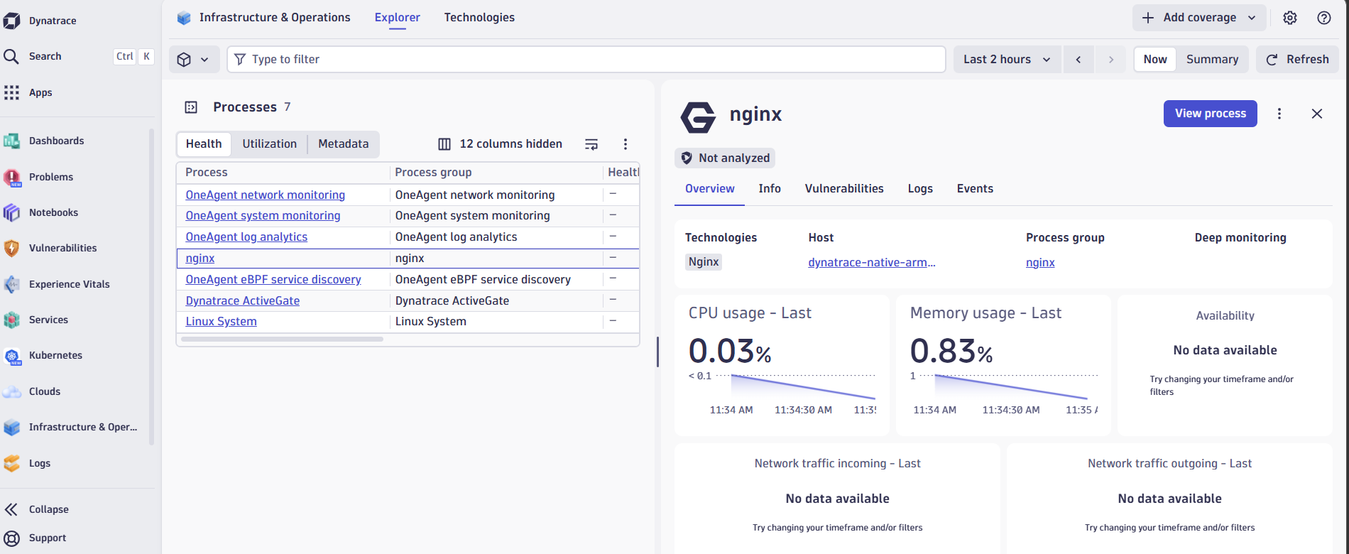 Image Alt Text:Dynatrace Infrastructure Explorer showing NGINX process monitoring on ARM64 host alt-txt