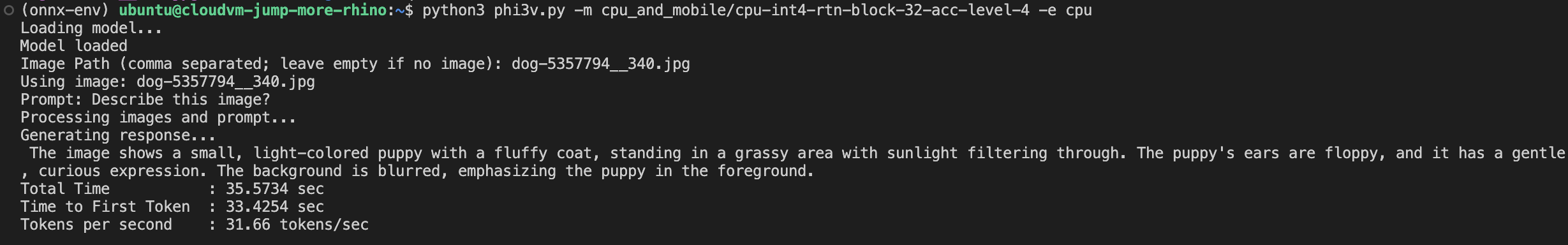 Image Alt Text:image_output