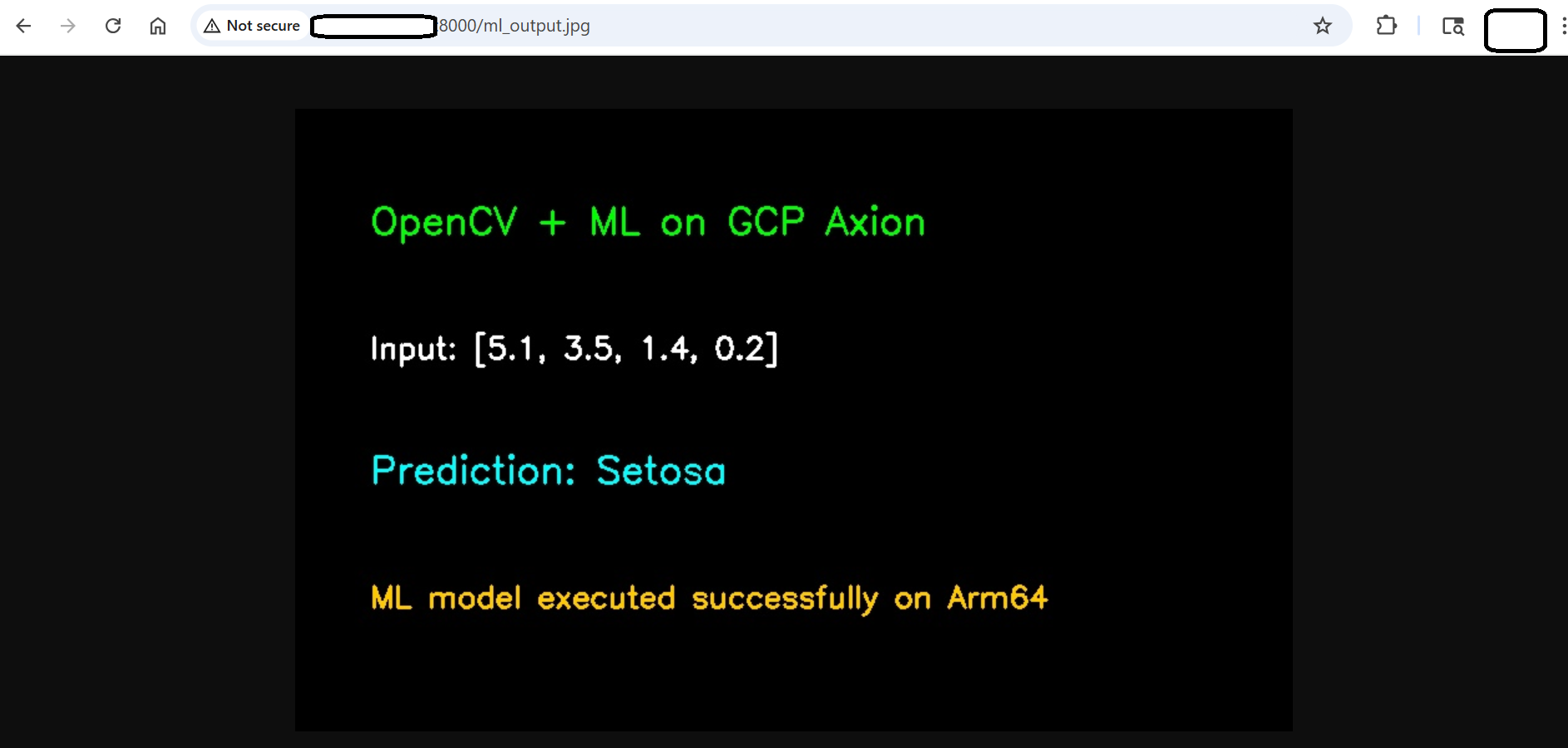Image Alt Text:OpenCV ML pipeline output image showing the predicted Iris class and input feature values, confirming successful inference and OpenCV rendering on Axion Arm VM.