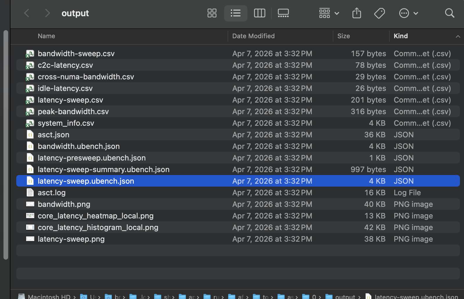 Image Alt Text:File browser opened to the Arm System Characterization run directory